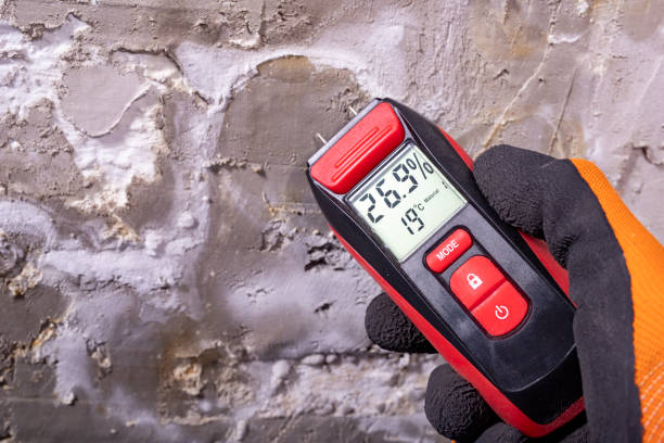 Best Residential Mold Removal  in Jemison, AL