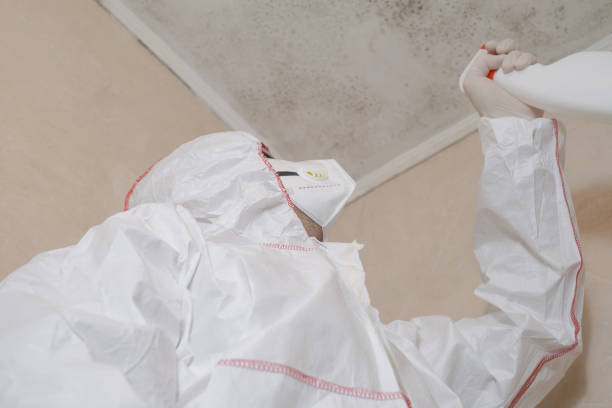 Best Mold Cleaning Services  in Jemison, AL