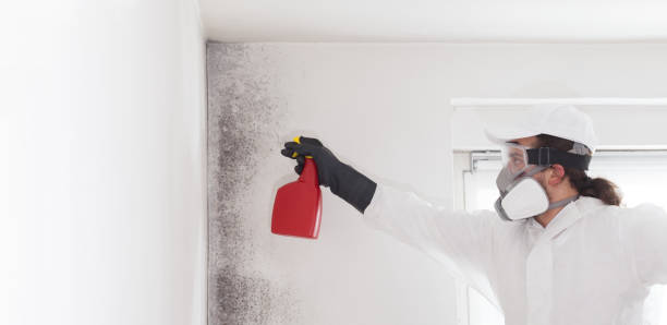 Best Mold Testing  in Jemison, AL